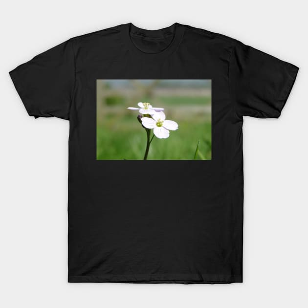 Cuckoo Flowers In The Grass T-Shirt by AH64D